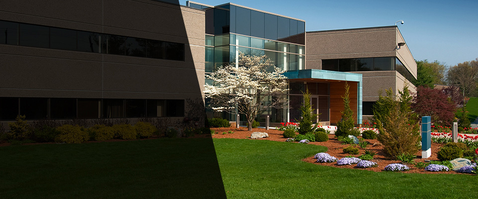 Cedar Grove Landscapers