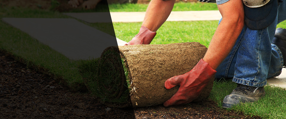 Cedar Grove Landscapers